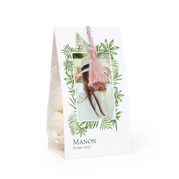 Set Geschenktüten mit magnolienfarbener Quaste - 12 Stk.