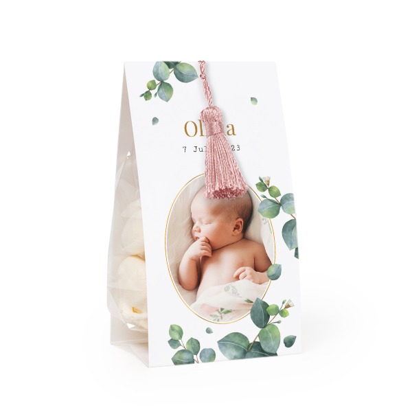 Slikpose med fotoomslag og magnoliafarvet kvast - 24 stk