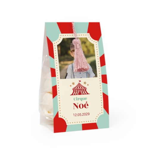 Circus Ticket Circus Ticket