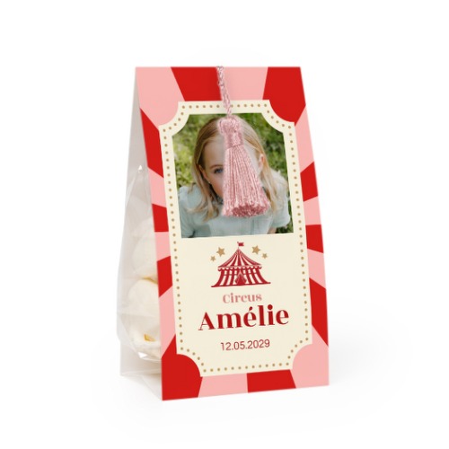 Circus Ticket Circus Ticket