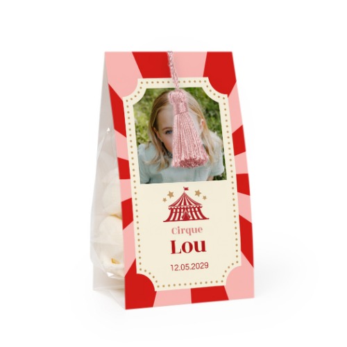 Circus Ticket Circus Ticket