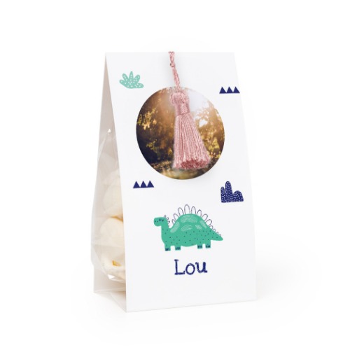 candywrap_dinosaurspattern