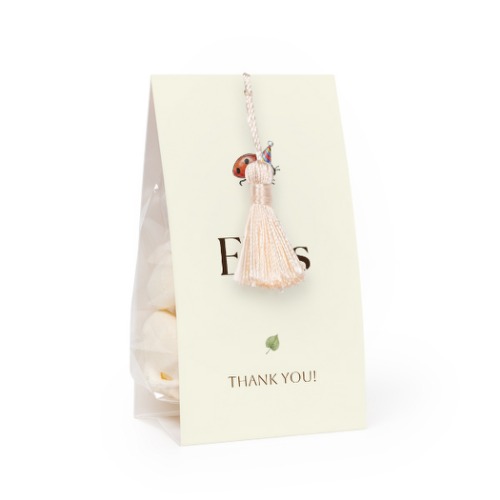 Illustration Ladybug Illustration Ladybug