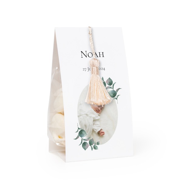 ClassicBotanicPlant ClassicBotanicPlant