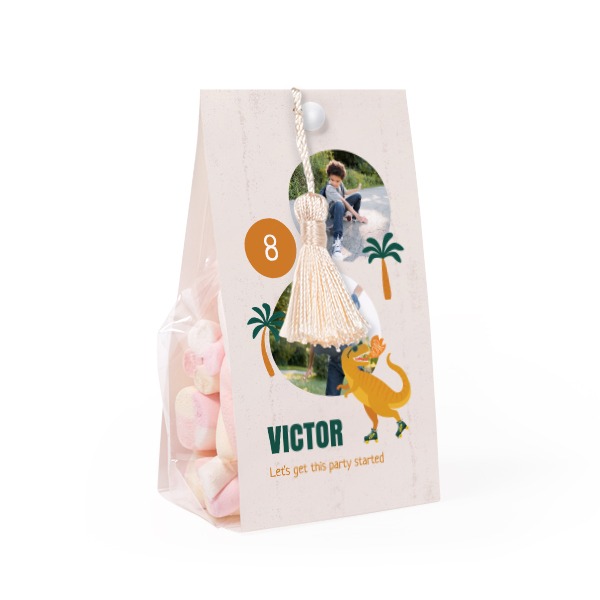 Candy bag with photo-wrapping and vanilla tassel - set of 12