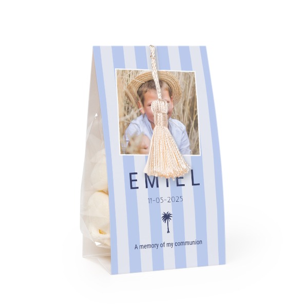 Palmtree Stripes Pattern Palmtree Stripes Pattern