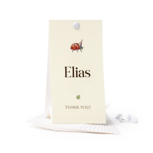 Illustration Ladybug