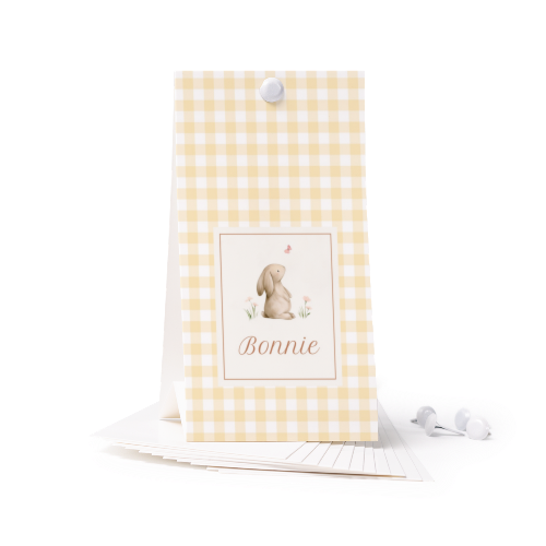 Cute Bunny Vichy