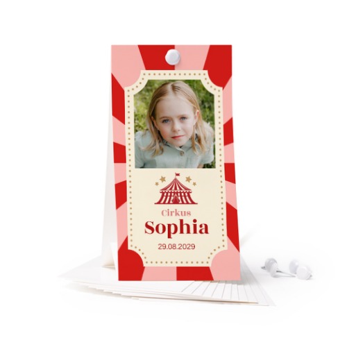 Circus Ticket Circus Ticket