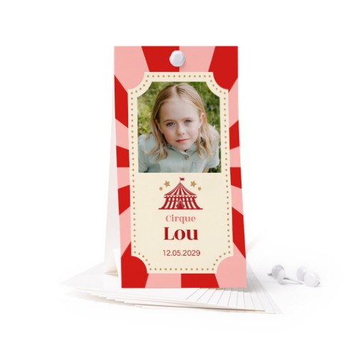 Circus Ticket Circus Ticket