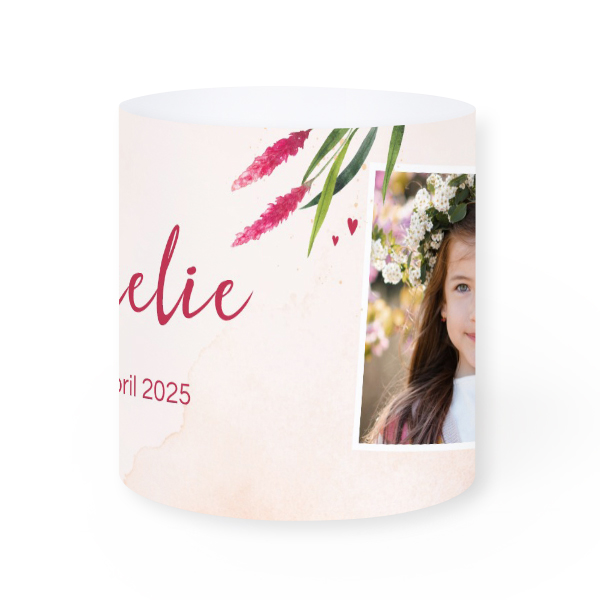 Emballage pour chips - lot de 12