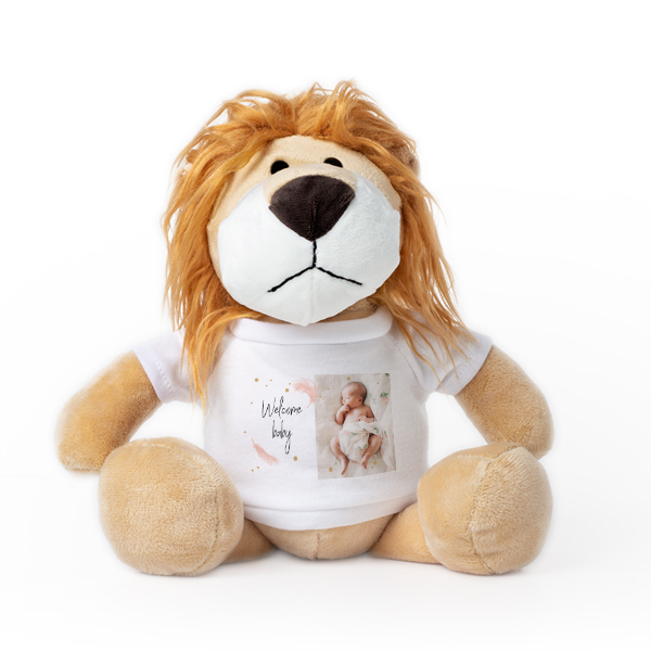 Knuffel leeuw Knuffel leeuw