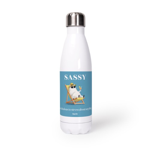 DrinkbottleAlu500ml_RelaxingCatTO