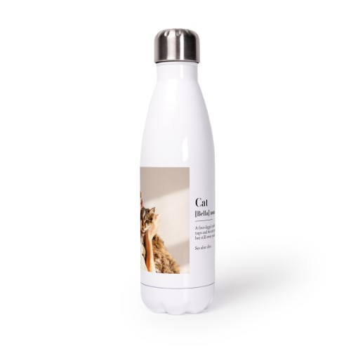 DrinkbottleAlu500ml_DictionaryDefinition