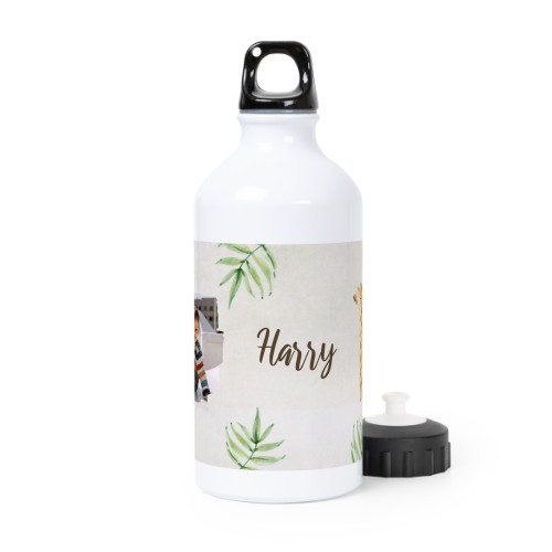 Jungle Giraffe Jungle Giraffe