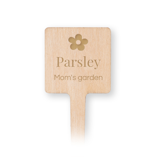 Marque plantes en bois gravées - Set de 12