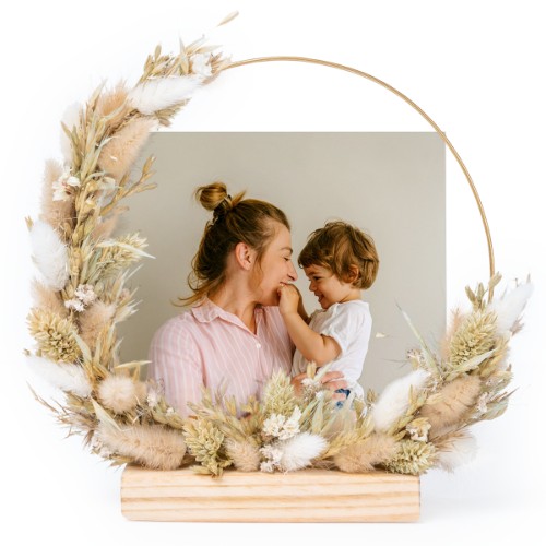 Photo Only Photo Only