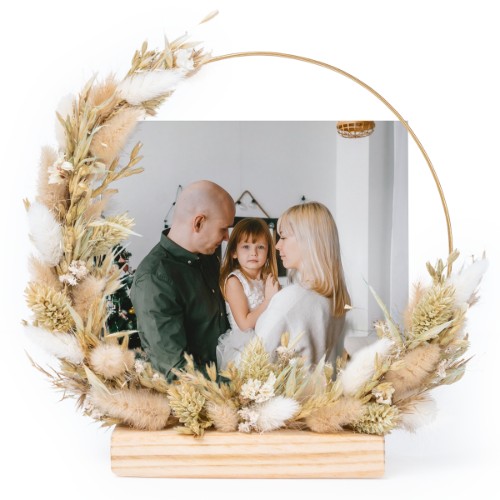 Photo Only Photo Only