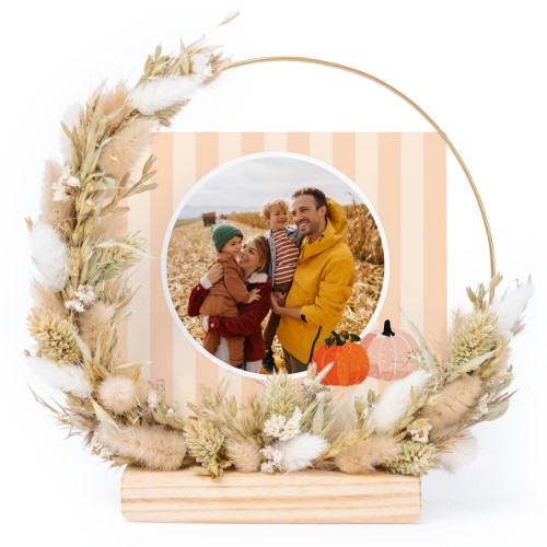 PumpkinPatchTO PumpkinPatchTO