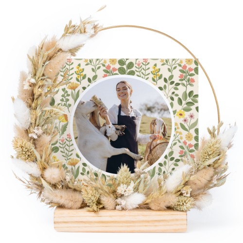 SpringGarden SpringGarden