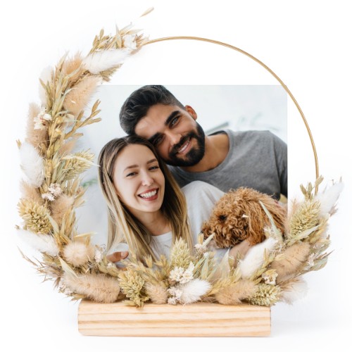 Photo Only Photo Only