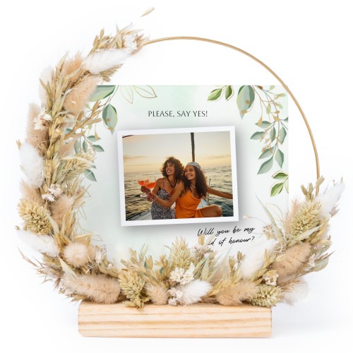 Classic Plant Love Classic Plant Love