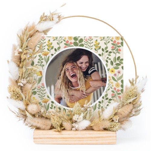 SpringGarden SpringGarden