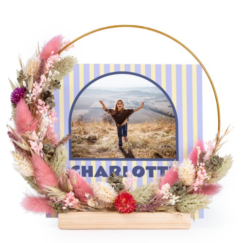 Striped Arch Shape Striped Arch Shape