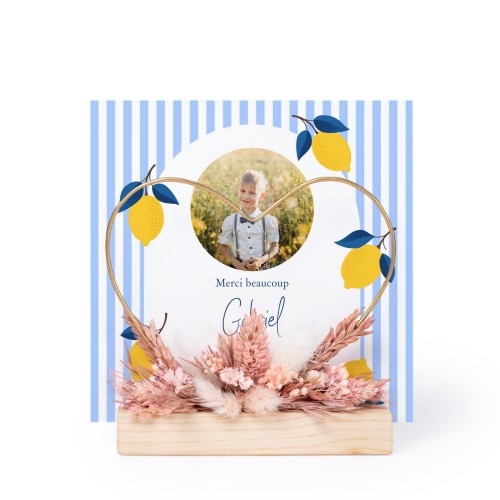 Lemon Stripes Party Lemon Stripes Party