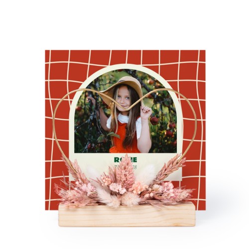 Cute Arch and Checkers Cute Arch and Checkers