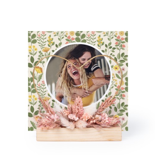 SpringGarden SpringGarden