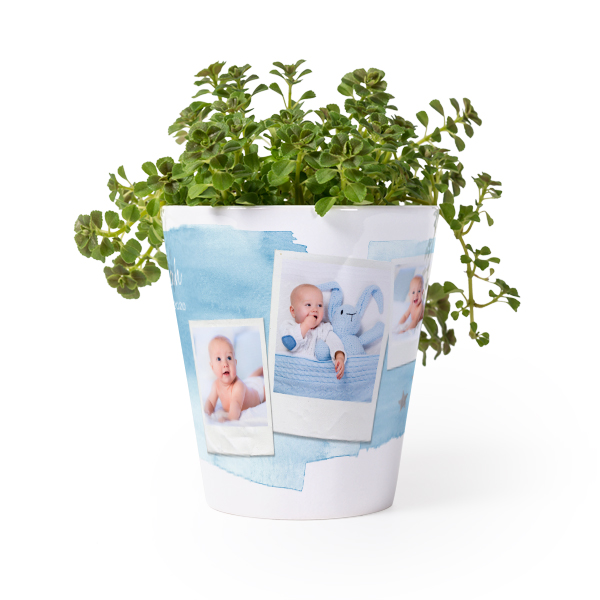 Pot de fleurs