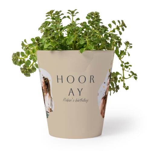 FlowerPot_OrganicSilhouetteBeige