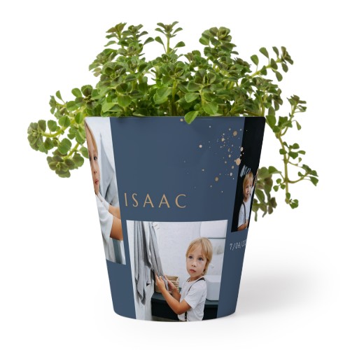 FlowerPot_GoldSparklesPartyBlue