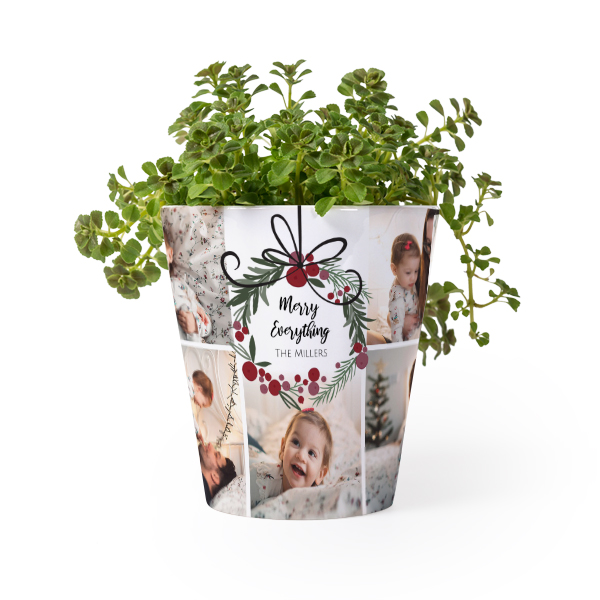 Pot de fleurs