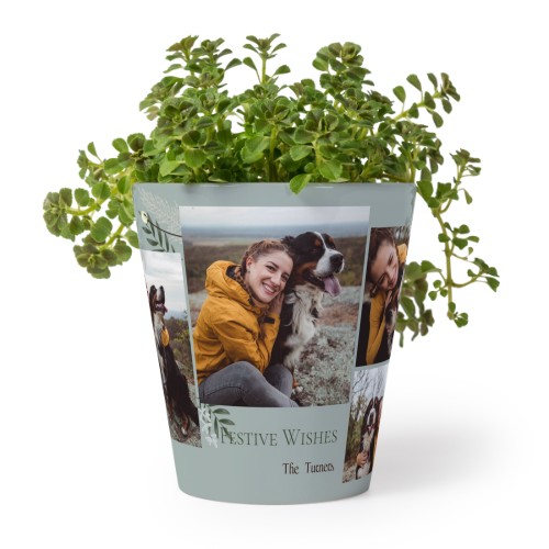Flower Pot Flower Pot