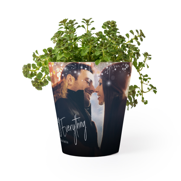 Pot de fleurs