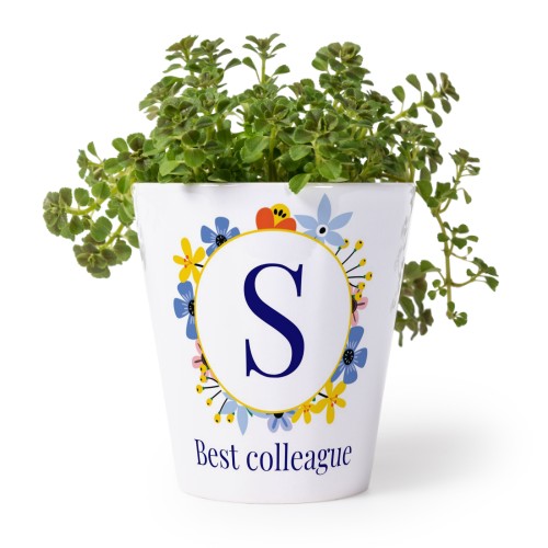 Flower Pot Flower Pot