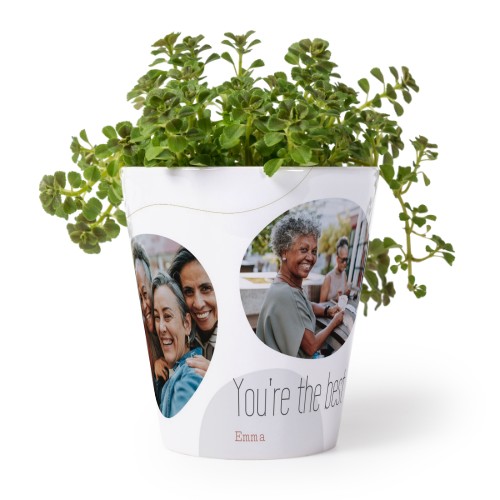 Bloempot Bloempot