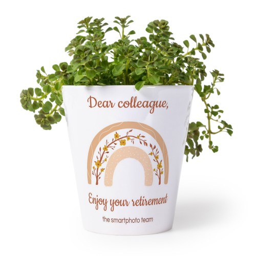 Flower Pot