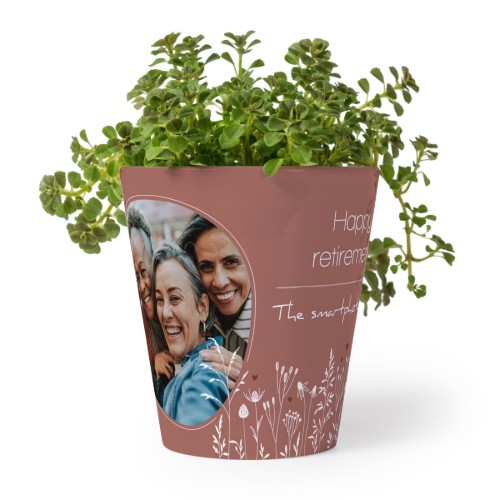 FlowerPot_SilhouetteFlowersRose