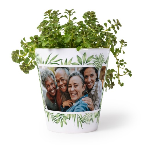 Bloempot Bloempot
