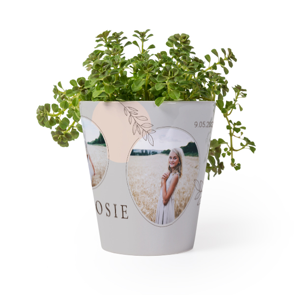 Pot de fleurs