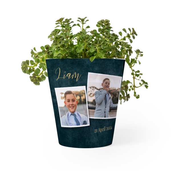 Pot de fleurs