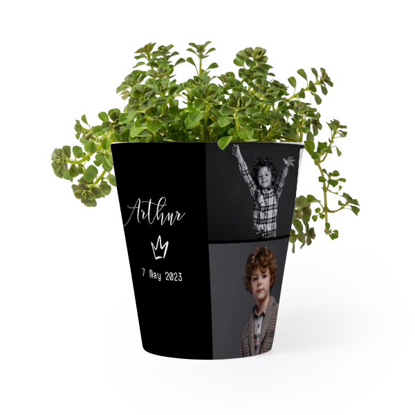 Pot de fleurs