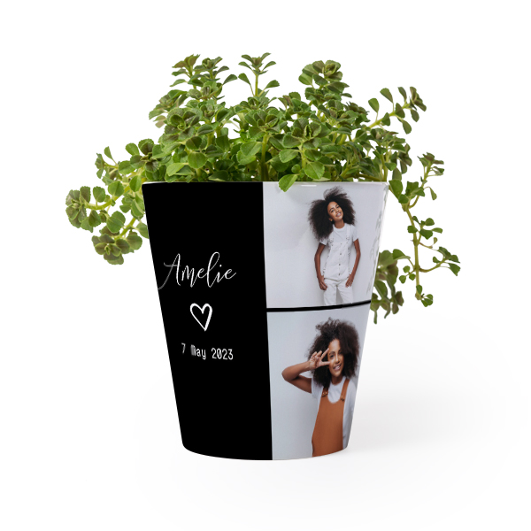 Pot de fleurs