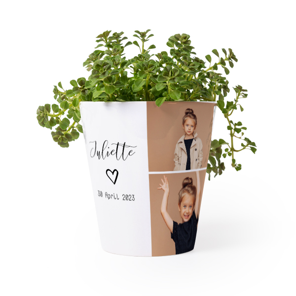 Bloempot