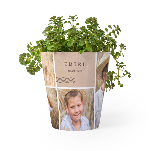 Bloempot