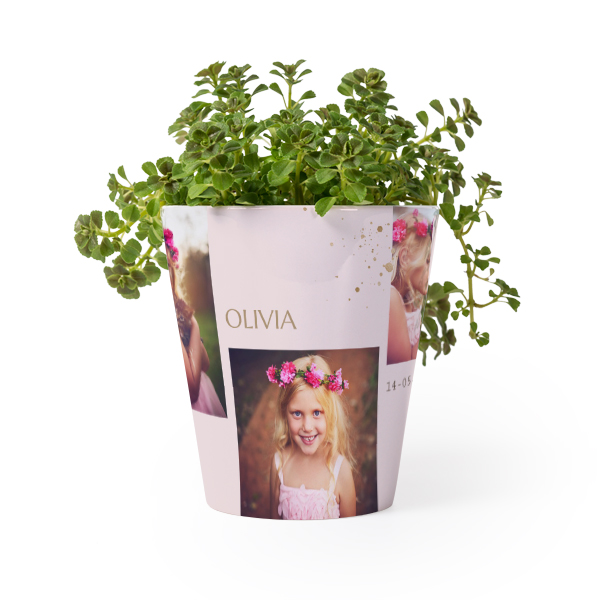 Blumentopf