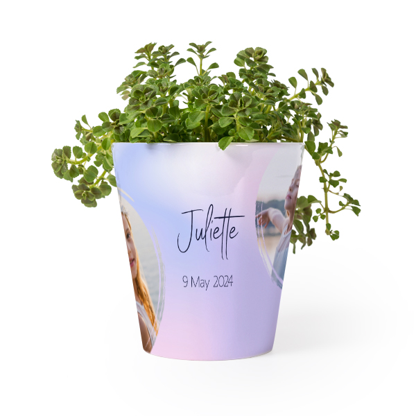 Pot de fleurs